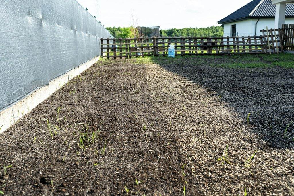 Sowing grass with a wheeled seeder, visible grass grains and black soil.