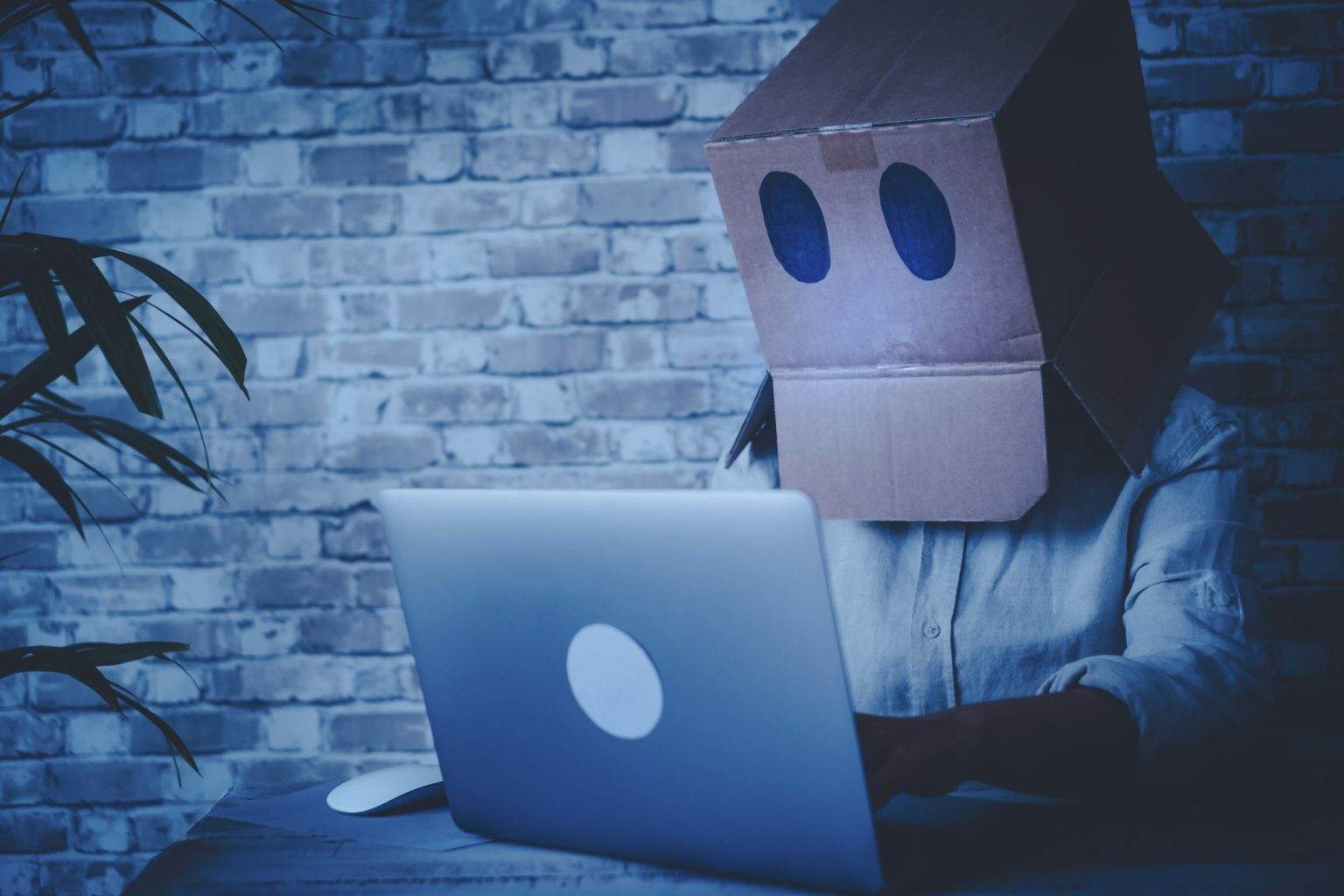 Comment effacer vos traces numériques ? Anonymous hacker use laptop computer and connection at home wearing a box on his head