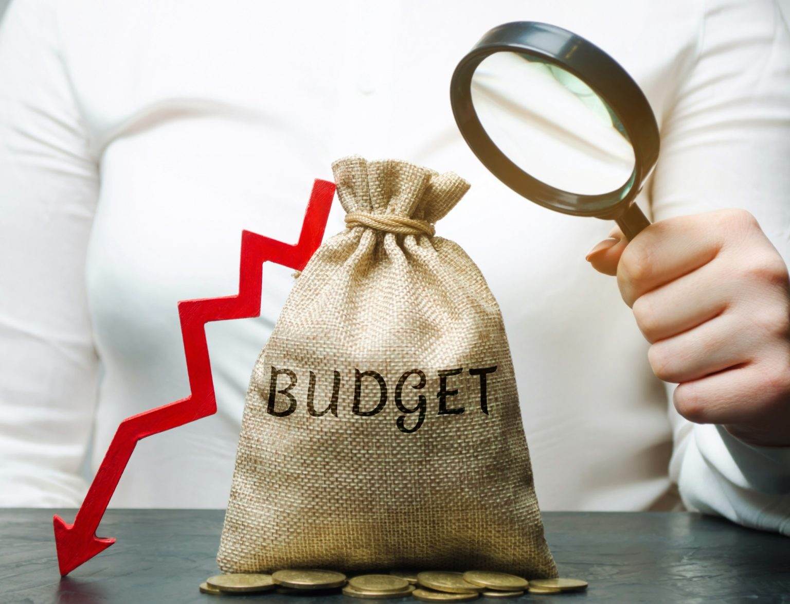 Business woman analyzes the budget in the company