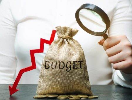 Business woman analyzes the budget in the company