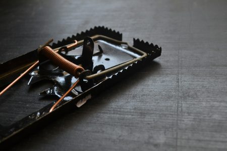 mouse trap for pest control
