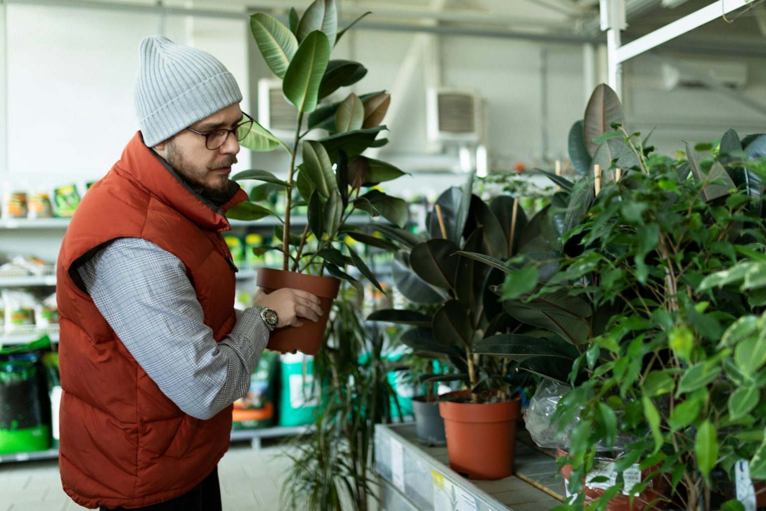 a customer in a store of live potted plants chooses plants for his house