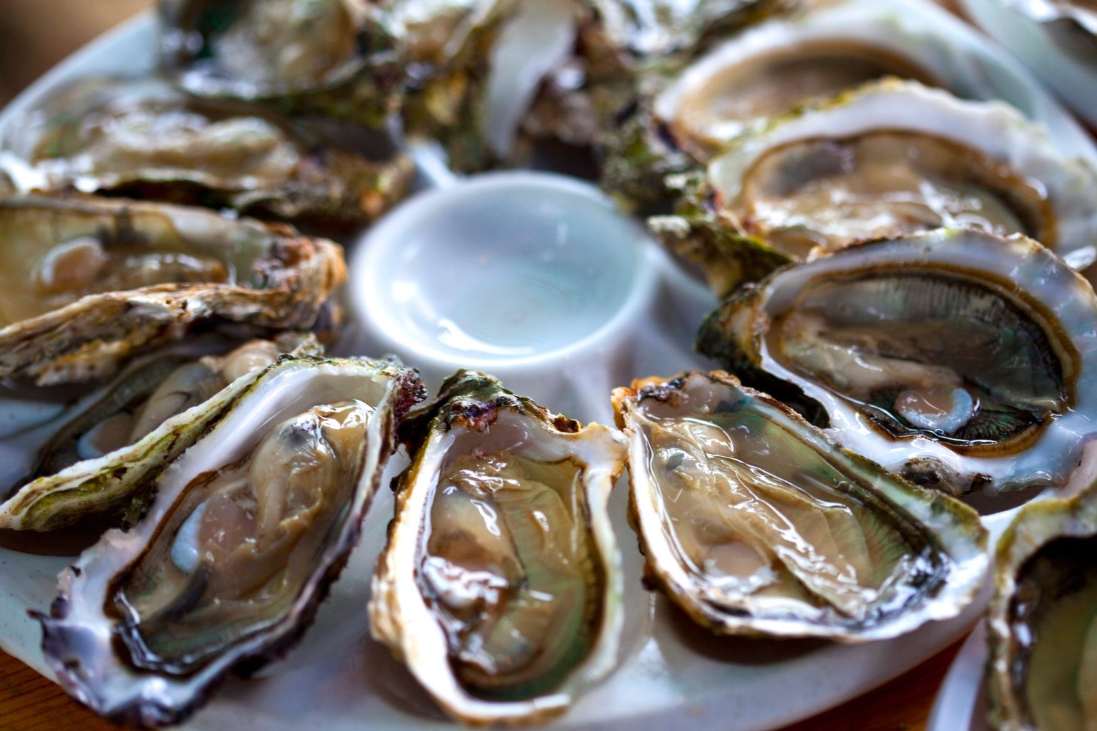 Oysters