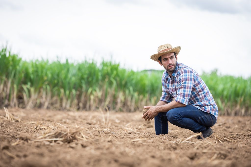 Pourquoi les agriculteurs français sont-ils en difficulté ?