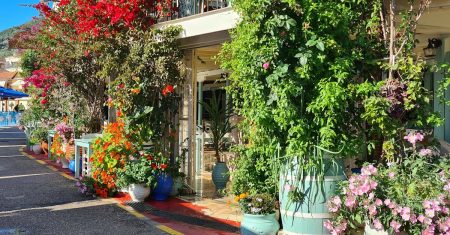 découvrez al-istikhara, une prière islamique essentielle pour demander guidance et sagesse dans vos décisions importantes. apprenez comment pratiquer al-istikhara pour renforcer votre spiritualité et trouver la clarté dans votre vie.