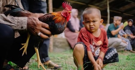 découvrez des méthodes sûres pour décongeler le poulet sans risquer de contamination alimentaire. apprenez des techniques efficaces pour assurer la sécurité de vos repas tout en préservant la qualité de la viande.