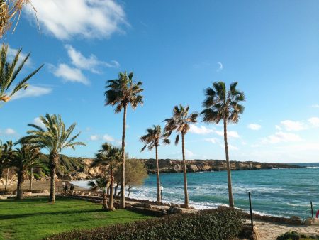 Tropical beach with palm trees