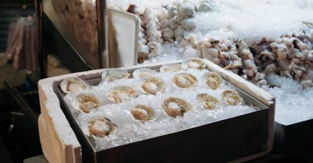 découvrez une expérience culinaire unique avec notre dégustation de crabes. savourez des variétés délicieuses, soigneusement préparées, et laissez-vous séduire par les saveurs maritimes authentiques. parfait pour les amateurs de fruits de mer en quête d'une aventure gustative inoubliable.
