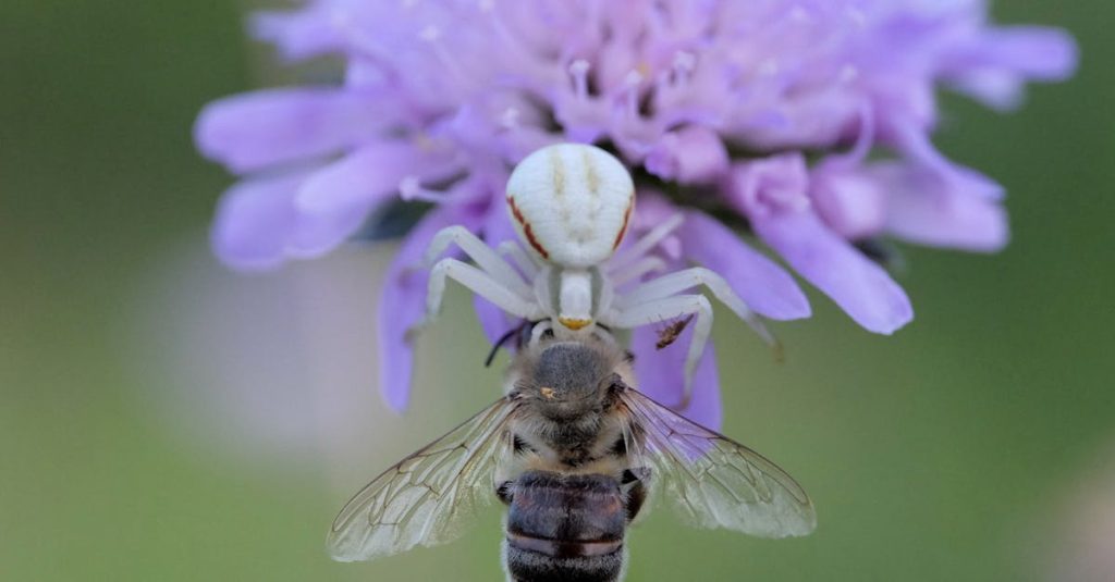découvrez l'univers des emojis de fleurs ! explorez une vaste sélection d'émojis floraux colorés pour embellir vos conversations, messages et publications sur les réseaux sociaux. exprimez vos émotions avec beauté et créativité grâce à ces petites illustrations charmantes !