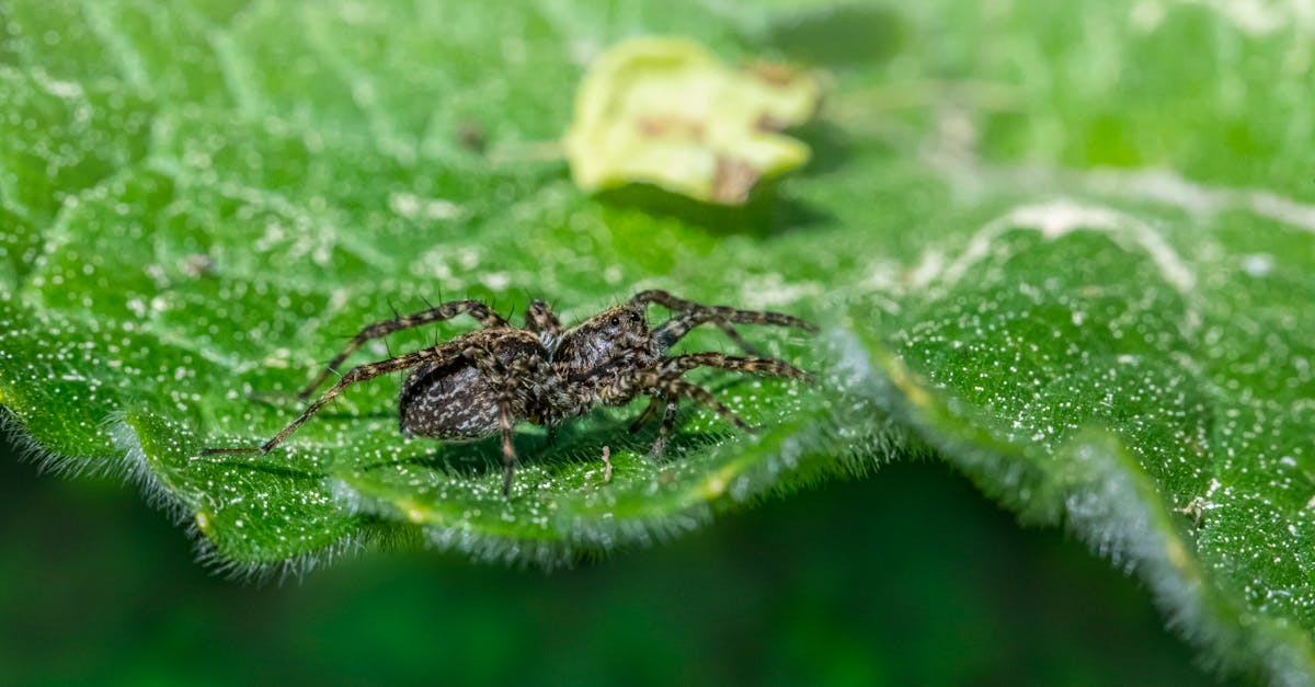 découvrez tout sur les fractions : définitions, types, méthodes de calcul et applications pratiques. apprenez à maîtriser les fractions avec des exemples clairs et des exercices pour vous entraîner.