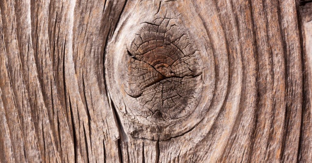 découvrez l'élégance intemporelle du chêne. ce bois noble est synonyme de robustesse et de style, idéal pour vos projets d'intérieur et d'extérieur. apprenez-en plus sur ses caractéristiques, ses utilisations et son entretien.