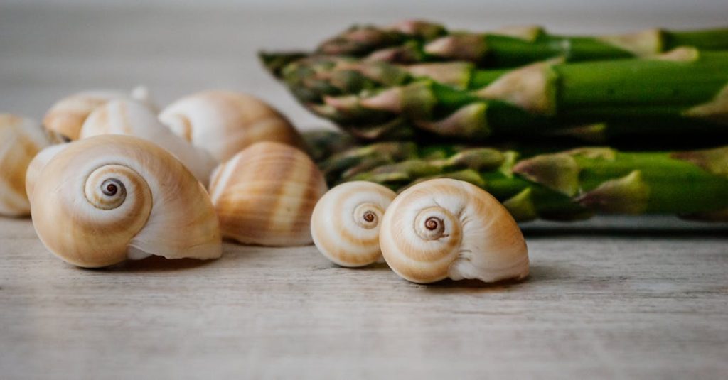 découvrez les bienfaits de la nutrition des escargots : un guide complet sur leur alimentation, les nutriments essentiels et comment optimiser leur croissance et leur santé dans votre jardin ou ferme.