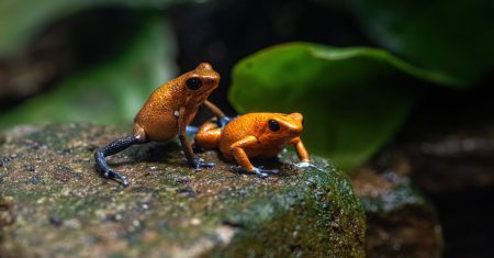 découvrez les caractéristiques et les impacts des comportements toxiques sur les relations personnelles et professionnelles. apprenez à les identifier et à les gérer pour favoriser un environnement sain et positif.