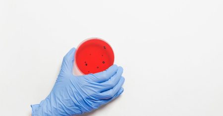 explorez la pathologie de winnie l'ourson, un personnage emblématique de l'univers de la littérature enfantine. découvrez les thèmes profonds et les leçons de vie véhiculés par ce personnage attachant et ses amis dans la forêt des rêves bleus.