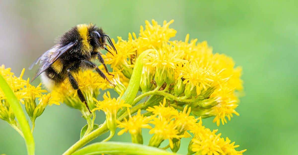 téléchargez facilement des fichiers apk en toute sécurité sur notre site. accédez aux dernières applications android et profitez de fonctionnalités exclusives sans passer par le play store.