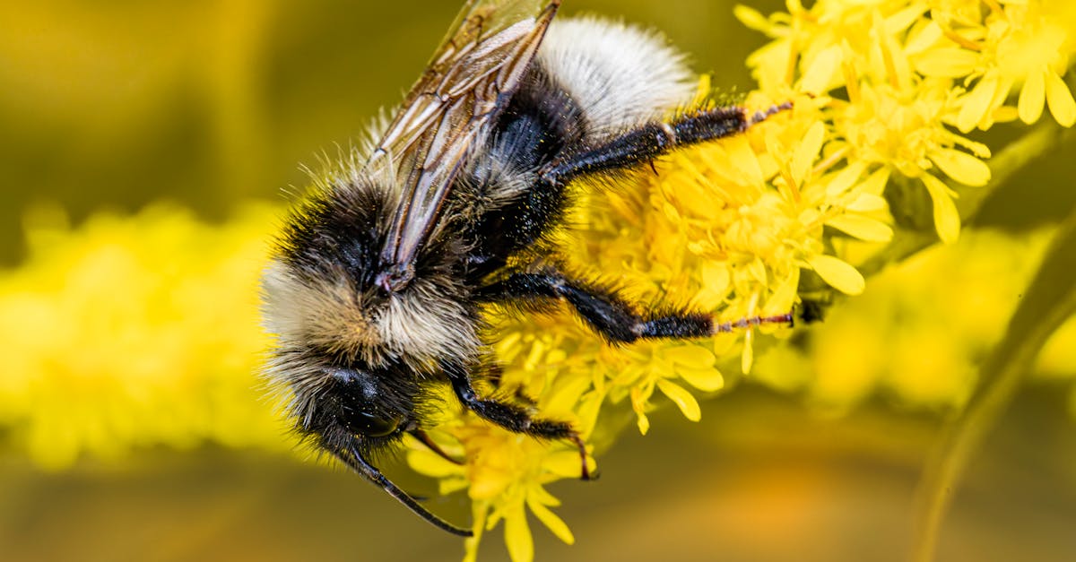 découvrez notre plateforme pour télécharger rapidement et en toute sécurité des fichiers apk. accédez à une vaste sélection d'applications android, profitez des dernières mises à jour et explorez des jeux passionnants, le tout en quelques clics.