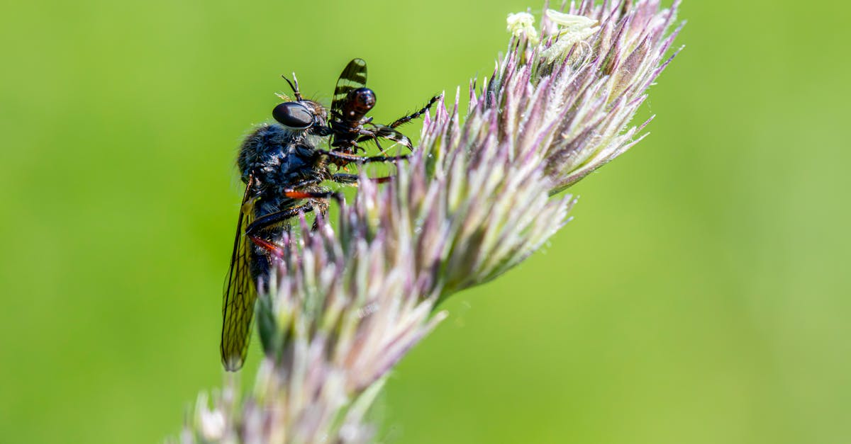 téléchargez les meilleures apks en toute simplicité ! accédez à une vaste sélection d'applications android à installer sur votre appareil. découvrez des jeux, des outils et bien plus encore, le tout à portée de main.