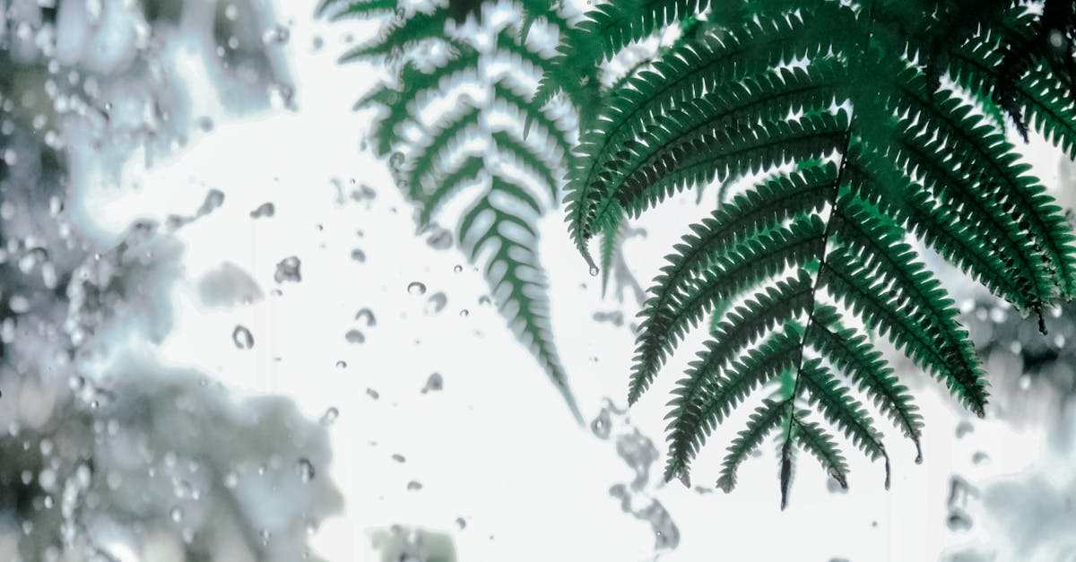 découvrez le monde fascinant des bios, ces courtes descriptions qui mettent en avant vos compétences, réalisations et passions. apprenez comment rédiger une bio percutante pour vos réseaux sociaux, votre site ou votre cv afin de captiver votre audience et renforcer votre image professionnelle.