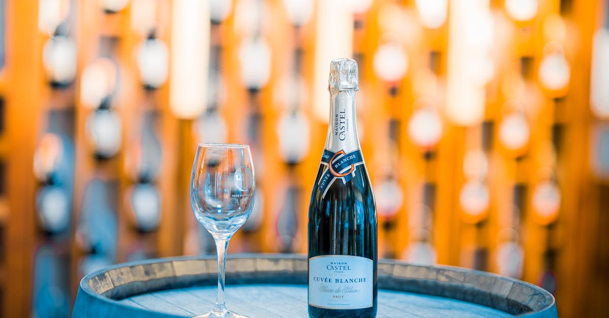 découvrez le blanchiment, une technique essentielle en cuisine qui permet de préserver la couleur, la texture et les nutriments des aliments. apprenez les meilleures méthodes de blanchiment pour des légumes croquants et savoureux, idéals pour vos plats.