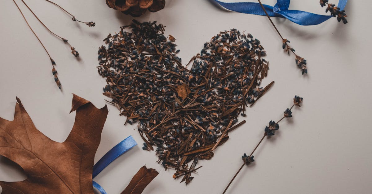 découvrez tout sur l'emoji cœur bleu, son utilisation dans les messages, sa signification et son impact dans la communication digitale. apprenez à exprimer vos émotions de manière unique grâce à ce symbole tendance.