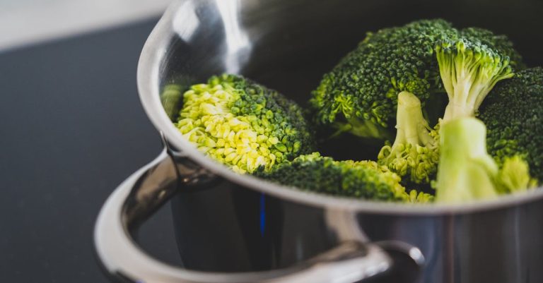 découvrez les bienfaits du brocoli, un légume polyvalent et nutritif. apprenez des recettes savoureuses et des conseils pour intégrer ce super-aliment dans votre alimentation quotidienne.