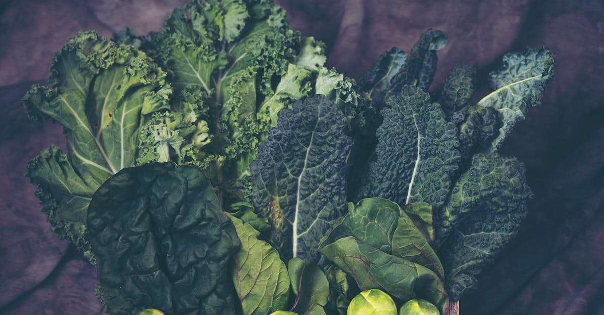 découvrez les choux de bruxelles, des légumes croquants et savoureux, parfaits pour des plats sains et gourmands. apprenez à les cuisiner et à les intégrer dans vos recettes préférées pour un repas nutritif et délicieux.