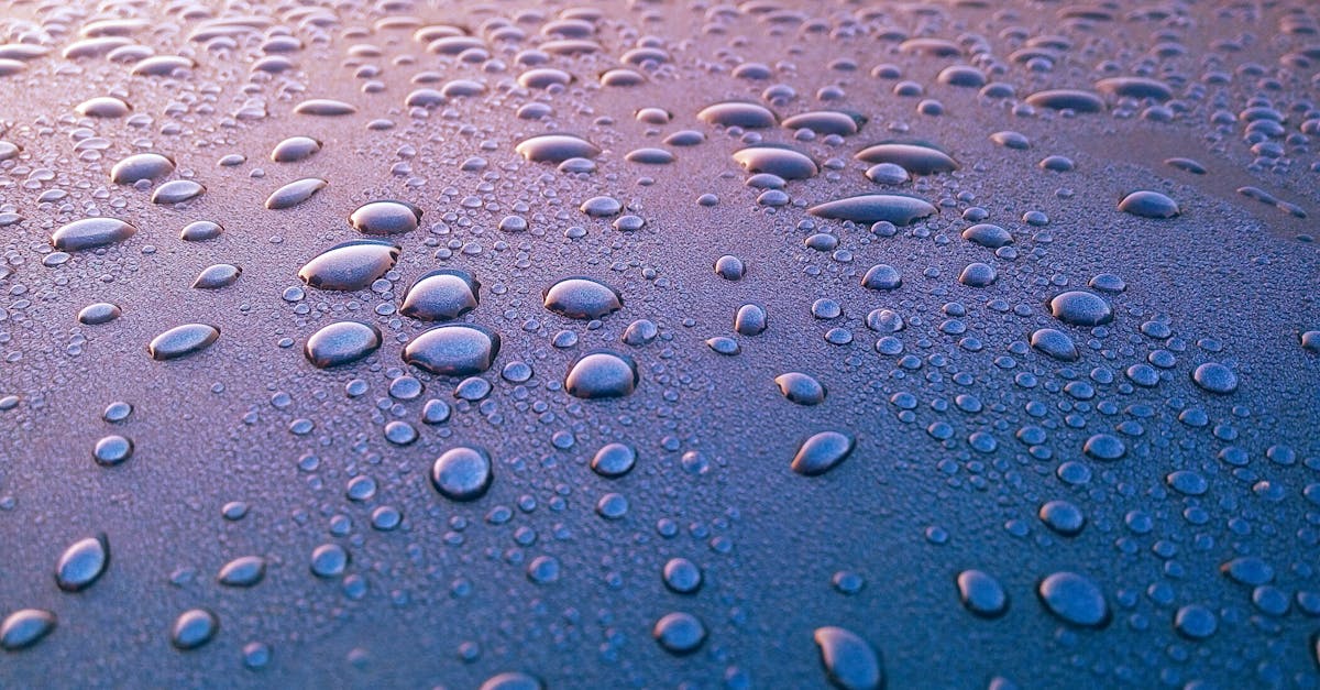 découvrez l'univers fascinant des bulles ! que ce soit pour les enfants avec des jeux colorés ou pour les adultes avec des cocktails pétillants, plongez dans une ambiance ludique et festive. explorez les différentes façons de créer et d'utiliser des bulles pour ajouter de la magie à votre quotidien.