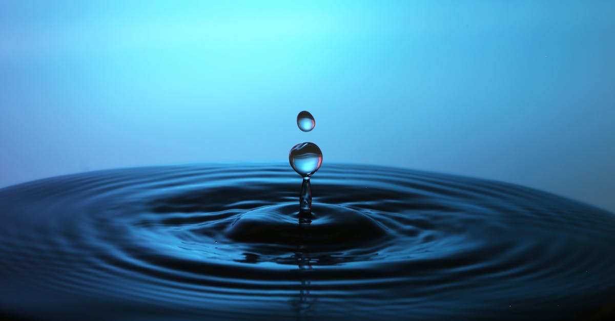 découvrez l'univers captivant de bubble, une plateforme innovante permettant de créer des applications web sans coder, idéale pour les entrepreneurs et les développeurs. transformez vos idées en réalité facilement et rapidement.