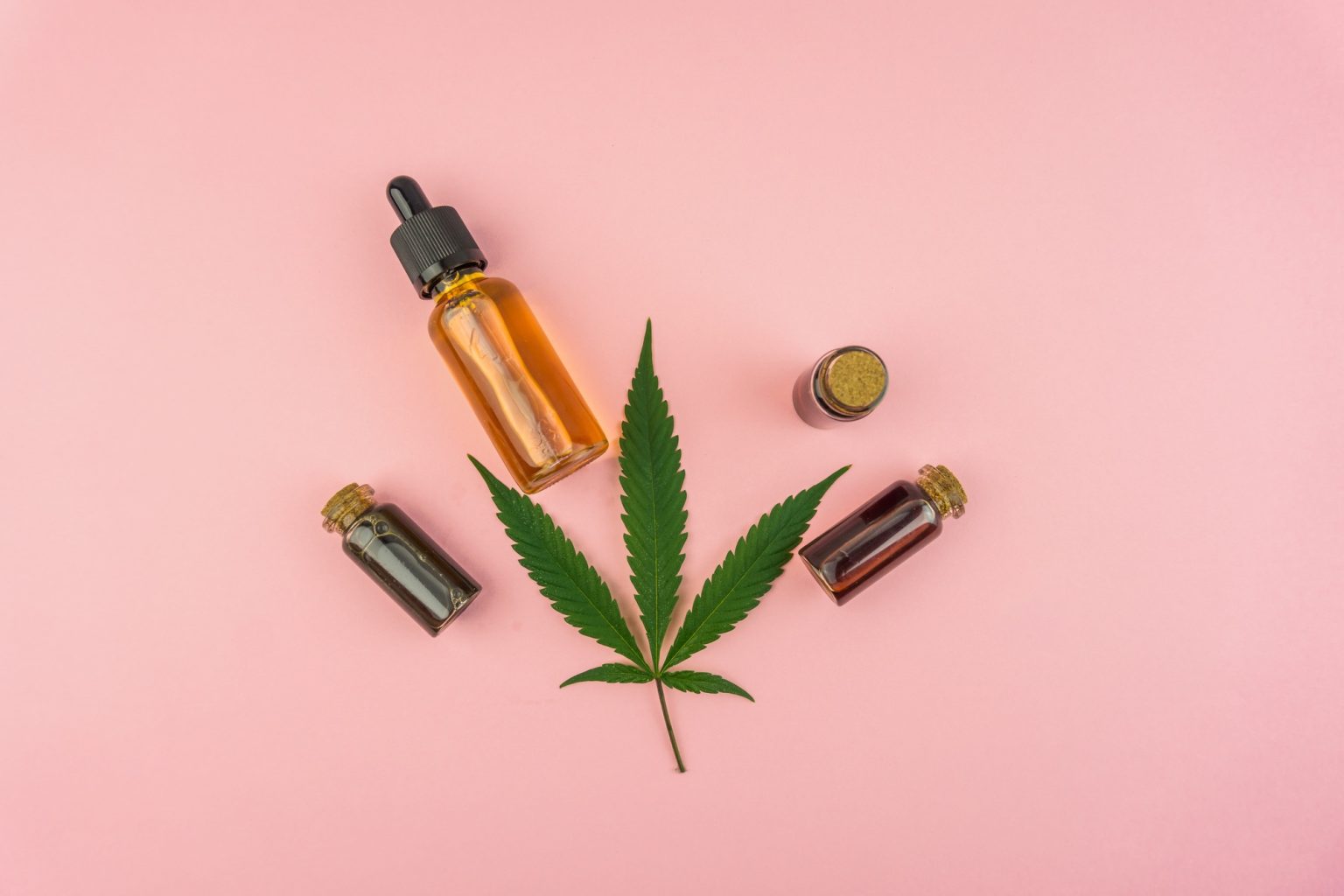 Cbd Cannabis oils and hemp leaf