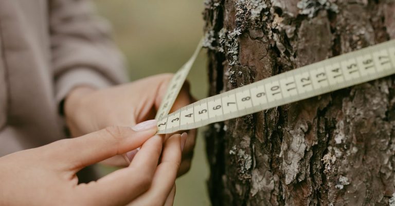 découvrez tout sur la circonférence, sa définition, ses formules de calcul et son importance en mathématiques et en géométrie. apprenez comment mesurer la circonférence de formes circulaires et explorez ses applications dans la vie quotidienne.
