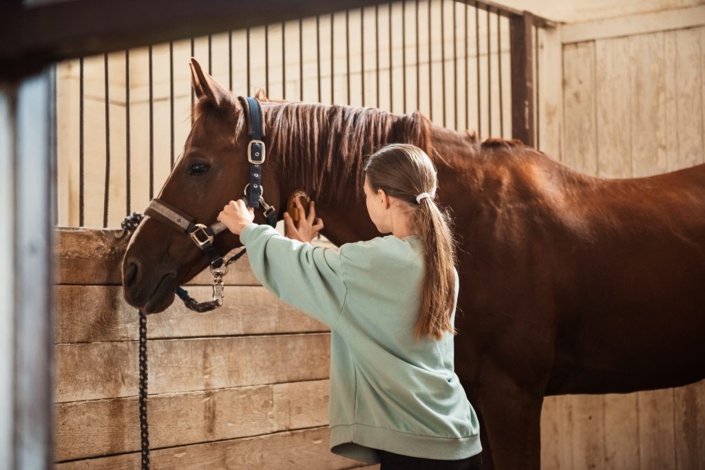 Illustration pour Les opportunités de travail pour les jeunes de 14 et 15 ans