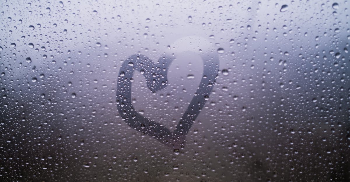 découvrez l'art de la peinture nuageuse avec cloud drawing. libérez votre créativité en apprenant des techniques innovantes pour dessiner des nuages réalistes et artistiques. que vous soyez débutant ou artiste confirmé, plongez dans cet univers enchanté où le ciel devient votre toile.