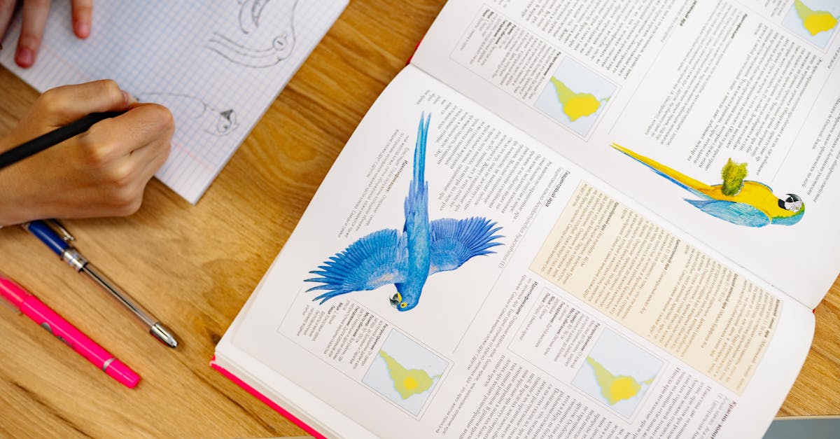 découvrez notre guide complet pour dessiner des crabes, avec des étapes faciles à suivre et des conseils d'experts pour maîtriser les techniques de dessin. parfait pour les artistes de tous niveaux!