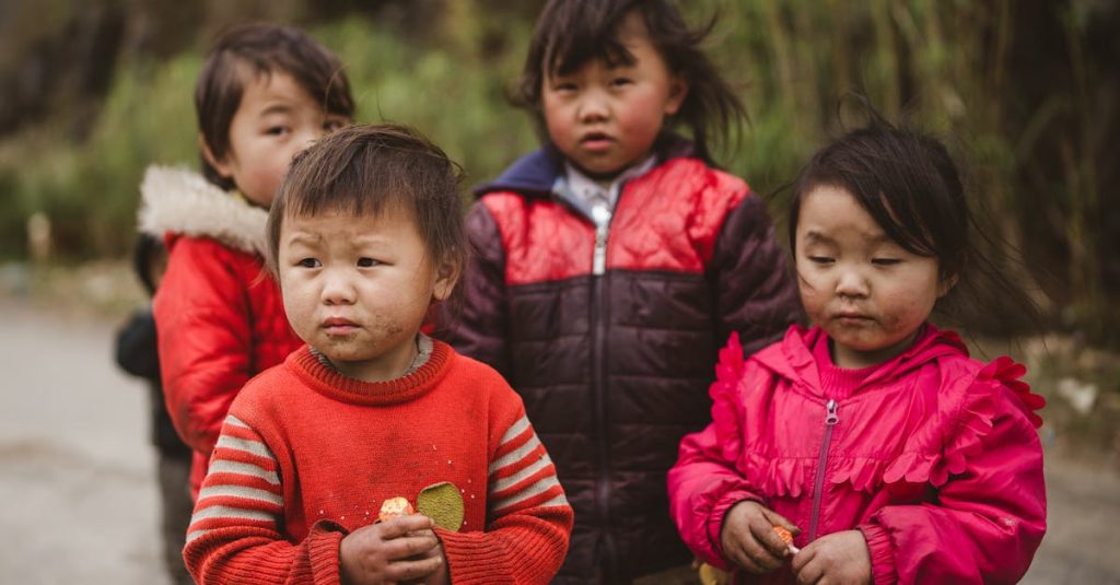 Identifier les différences entre le canard mâle et la canard femelle découvrez les différences de genre chez les canards. apprenez à identifier les mâles et les femelles grâce à leurs caractéristiques physiques et comportementales uniques. informez-vous sur leur plumage, leurs vocalisations et d'autres aspects fascinants de leur biologie.
