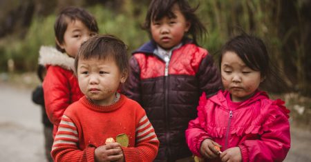 découvrez les différences de genre chez les canards. apprenez à identifier les mâles et les femelles grâce à leurs caractéristiques physiques et comportementales uniques. informez-vous sur leur plumage, leurs vocalisations et d'autres aspects fascinants de leur biologie.
