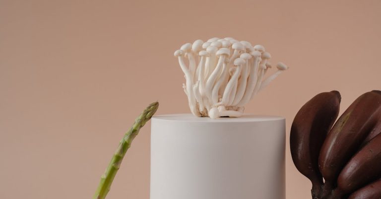 découvrez les champignons enoki, ces délicates variétés japonaises aux tiges longues et fines. idéaux pour agrémenter vos plats, ils apportent une texture croquante et une saveur délicate. parfaits en salade, en soupe ou sautés, les enoki sont également riches en nutriments et font partie de la cuisine asiatique traditionnelle. apprenez à les cuisiner et à profiter de leurs bienfaits pour votre santé!