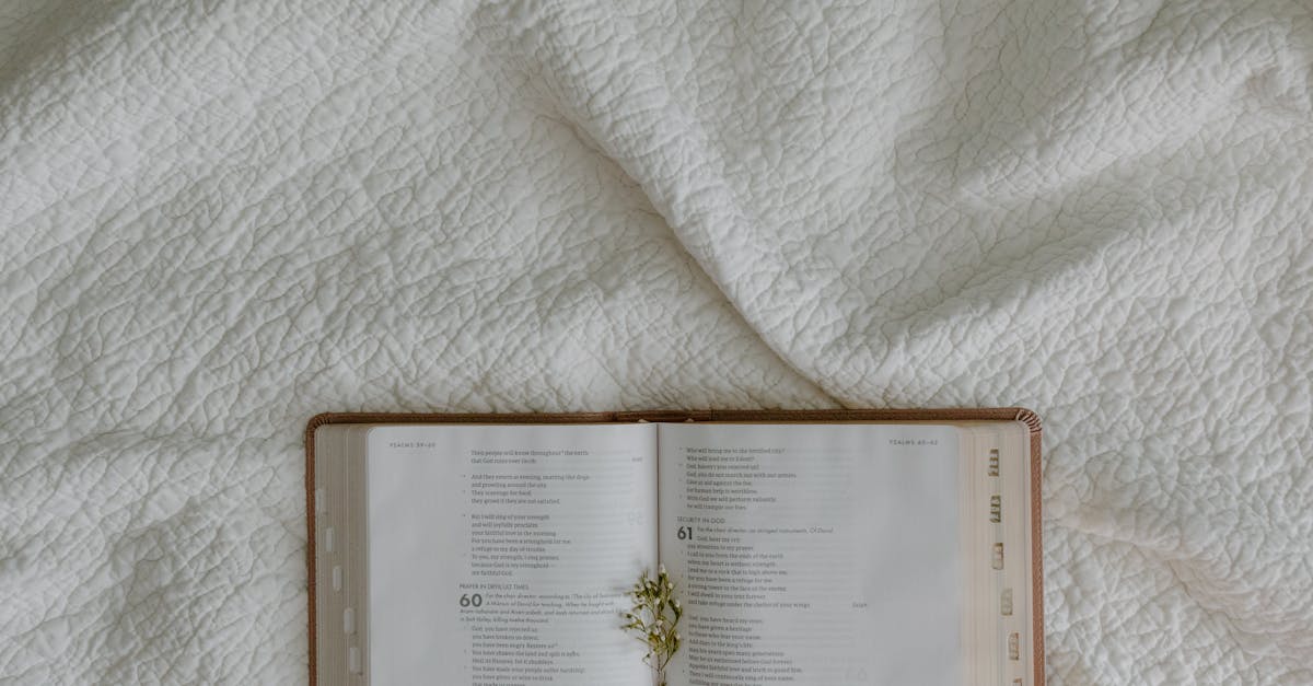 découvrez notre collection de fleurs en tissu, des créations uniques et élégantes pour embellir votre décoration intérieure, vos événements ou vos projets artisanaux. une alternative durable et intemporelle aux fleurs naturelles, parfaites pour toute occasion.