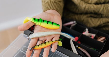 découvrez le meilleur guide de pêche pour optimiser vos sorties en plein air. conseils, techniques et endroits secrets pour attraper une variété de poissons tout en profitant de la nature. que vous soyez débutant ou expert, ce guide est fait pour vous.