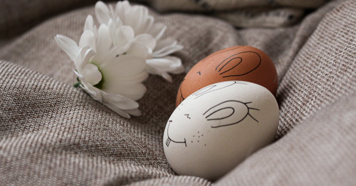 découvrez notre guide complet pour dessiner des fleurs avec facilité. apprenez les techniques, les astuces et les étapes pour créer de magnifiques illustrations florales, que vous soyez débutant ou artiste confirmé. éveillez votre créativité et laissez-vous inspirer par la beauté de la nature !