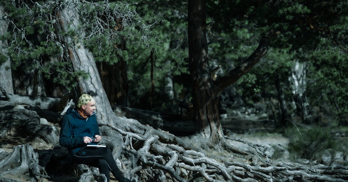 découvrez l'art exceptionnel du dessin de forêts, où les détails des arbres, la beauté de la nature et la sérénité des paysages se rejoignent pour créer des œuvres inspirantes et captivantes. explorez notre collection unique de dessins forestiers qui célèbrent la magie des bois.