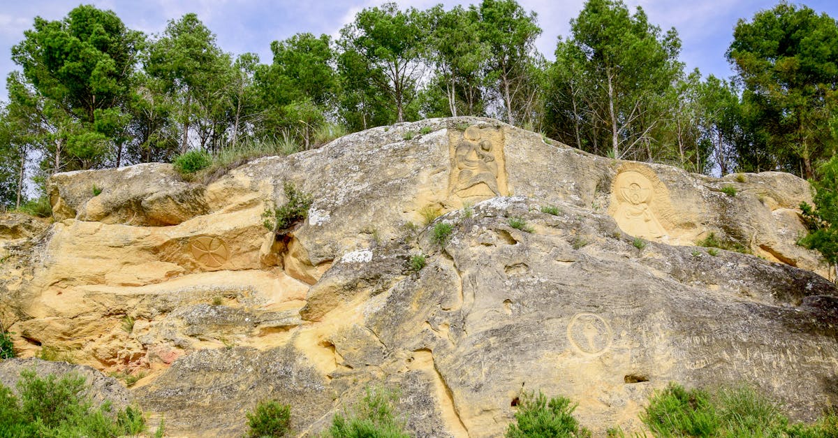 découvrez l'univers enchanteur du dessin de forêt, où la magie de la nature prend vie à travers les traits de crayon et les jeux d'ombres. plongez dans des illustrations captivantes de paysages forestiers, de faune et de flore, et laissez-vous inspirer par la beauté des forêts.