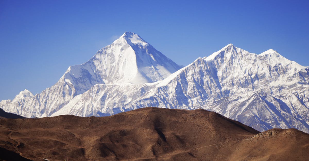 découvrez tout sur le processus de congélation : ses applications culinaires, ses avantages pour la conservation des aliments, et des astuces pour réussir vos congelations. apprenez à optimiser le stockage de vos aliments pour une cuisine pratique et efficace.