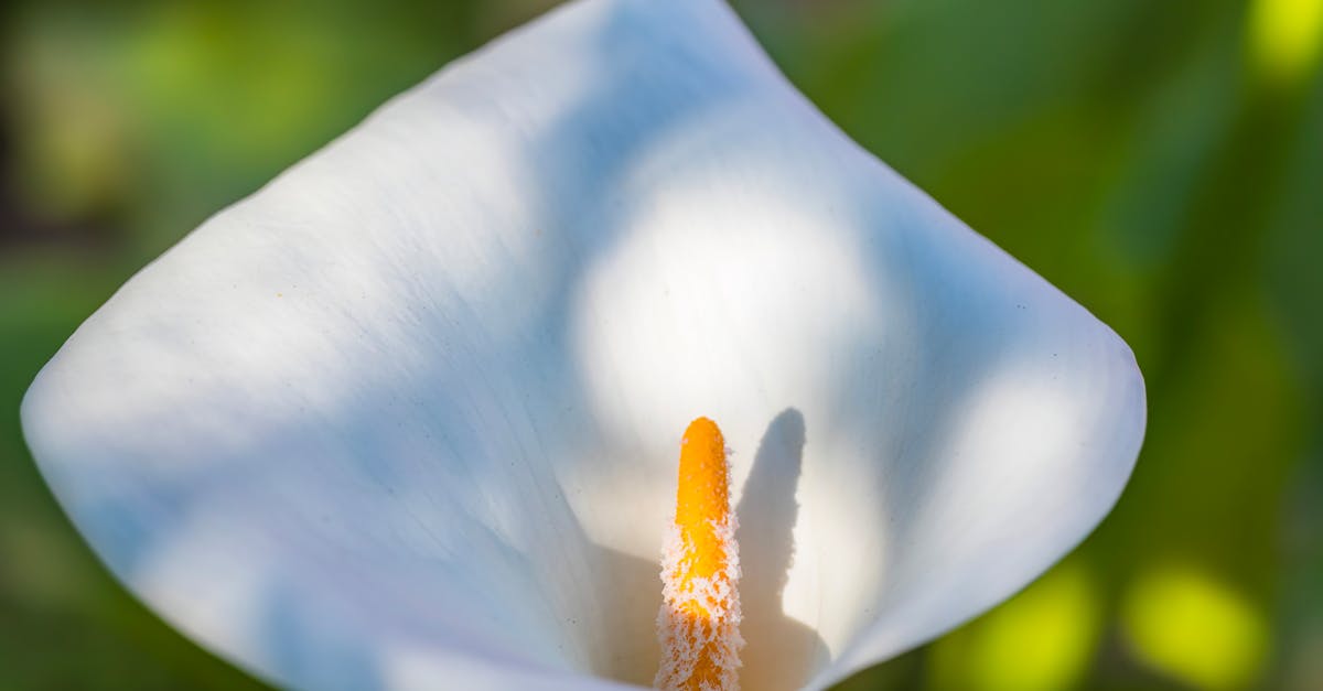 découvrez l'art du funnel marketing : une stratégie efficace pour convertir vos prospects en clients fidèles. apprenez à créer des tunnels de vente performants pour maximiser vos résultats.