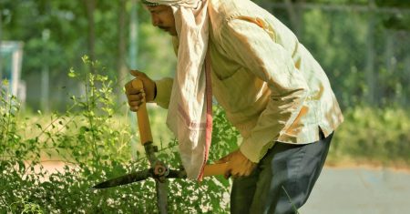 apprenez les meilleures techniques pour la taille des géraniums afin de stimuler leur croissance et d'encourager une floraison abondante. découvrez nos conseils pratiques pour entretenir vos plantes et les garder en pleine santé tout au long de l'année.