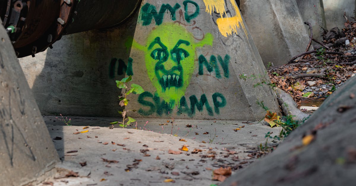 découvrez l'art du graffiti lettering : une expression créative et unique alliant style et technique. apprenez les bases, inspirations et astuces pour maîtriser cet art urbain fascinant.