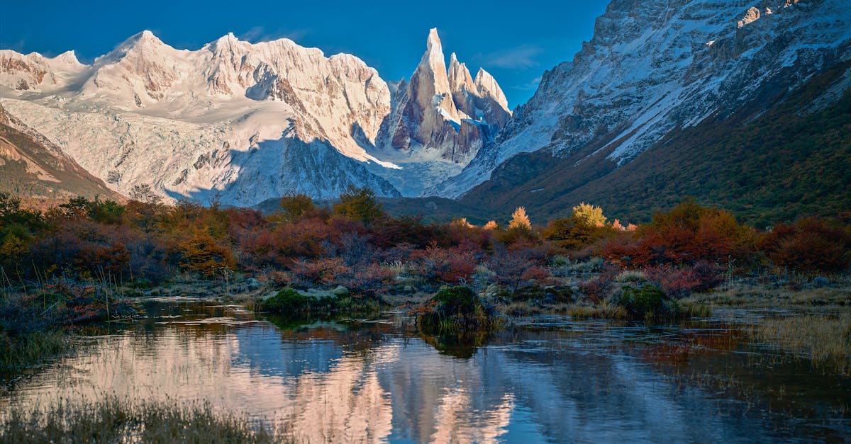 découvrez notre guide complet sur la prière isha, qui vous orientera à travers les étapes fondamentales, les conseils pratiques et les significations spirituelles pour enrichir votre expérience de prière nocturne.