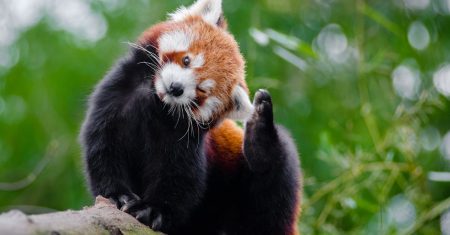 découvrez les causes et traitements de l'itching (démangeaisons). informez-vous sur les remèdes naturels, les conseils de soins de la peau, et lorsque consulter un professionnel de santé pour soulager les démangeaisons et améliorer votre confort quotidien.