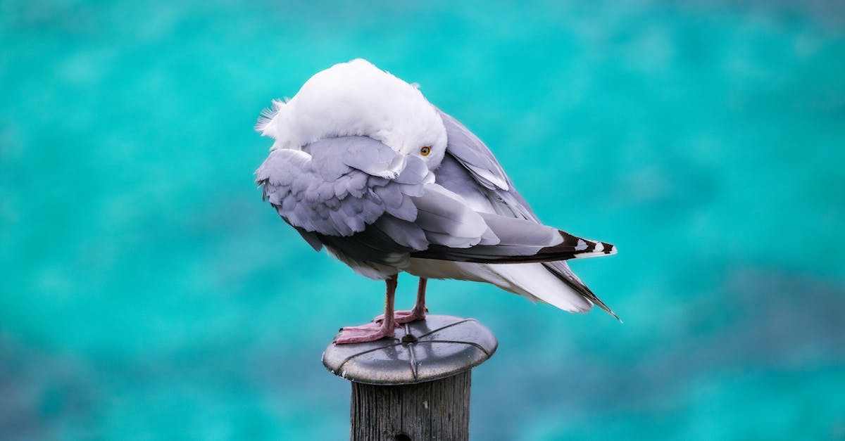 découvrez les causes, symptômes et traitements des démangeaisons. obtenez des conseils pratiques pour soulager votre inconfort et améliorer votre bien-être. ne laissez pas les démangeaisons perturber votre quotidien.