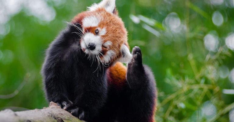 découvrez les causes et traitements de l'itching (démangeaisons). informez-vous sur les remèdes naturels, les conseils de soins de la peau, et lorsque consulter un professionnel de santé pour soulager les démangeaisons et améliorer votre confort quotidien.