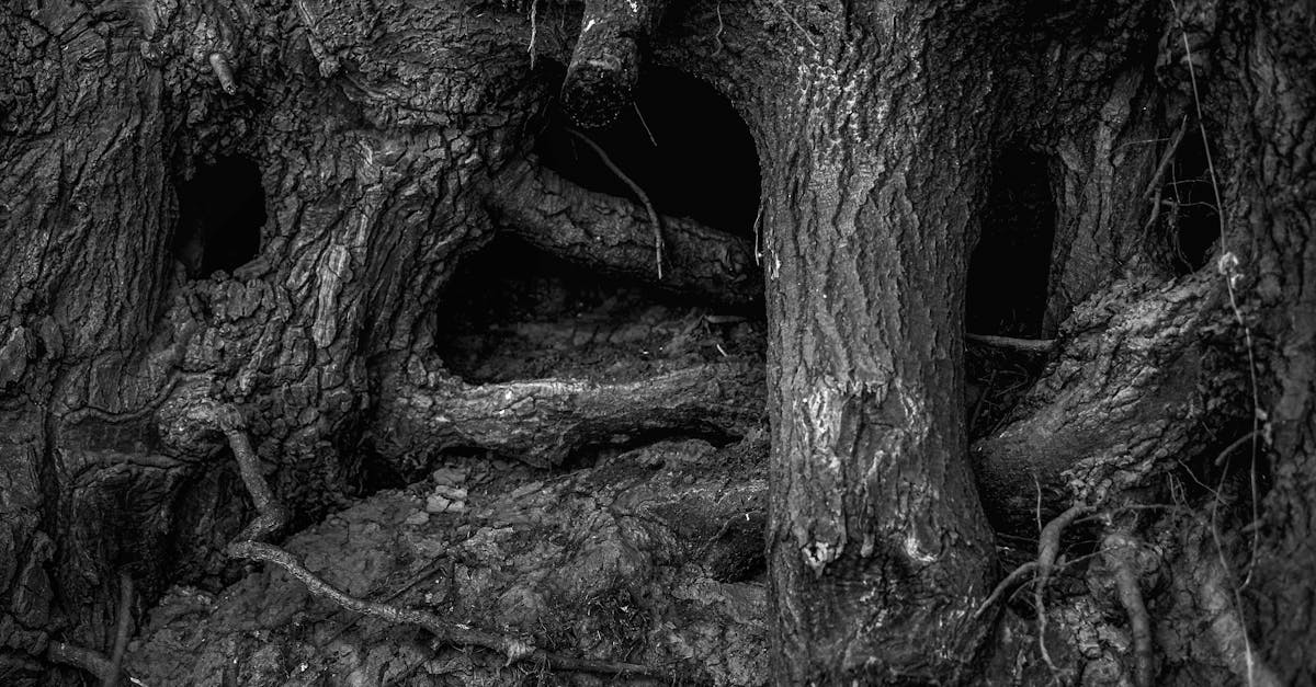 découvrez l'art du knotting, une technique fascinante de nouage qui allie créativité et pratique. apprenez à créer des noeuds décoratifs et fonctionnels pour vos projets artisanaux, de la décoration intérieure aux accessoires mode. explorez des tutoriels simples et des conseils d'experts pour maîtriser cette compétence originale.